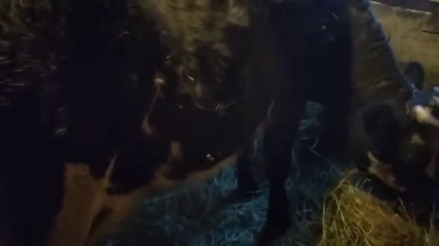 25 січня 2021 р. смотреть онлайн