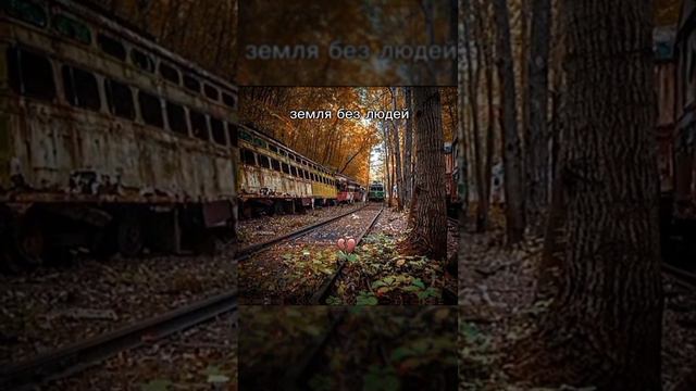 земля без к-поп топ 💣 #рек #роблокс #реки #рб #рекомендации #анимация #христос #христианство #реки смотреть онлайн