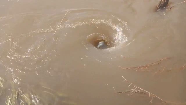 Нашли бездонную воронку - проводим тесты смотреть онлайн