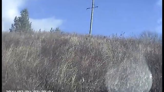 Покорение Горки 0001 смотреть онлайн