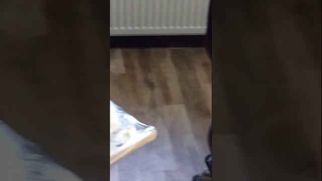 Tattoo Studio Dmitriy Samohin