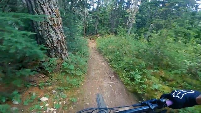 Martha Creek is a World Famous Alpine DH Trail смотреть онлайн