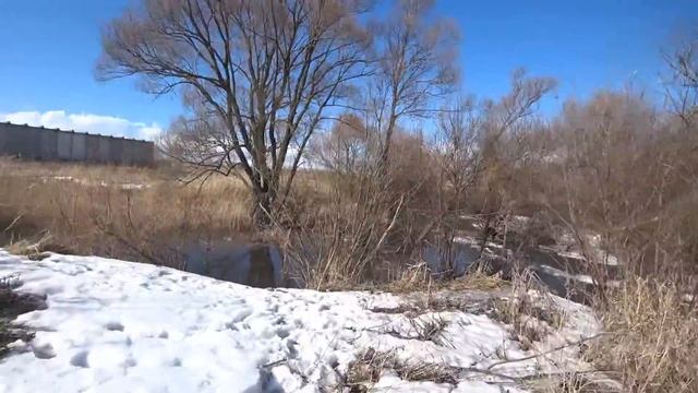 Мутные воды Тепловского пруда. смотреть онлайн