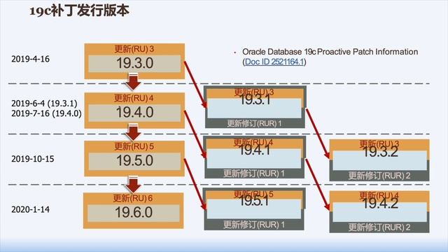 19c定制化解决方案 смотреть онлайн