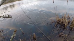 Вес груза в джиге. Как правильно выбрать