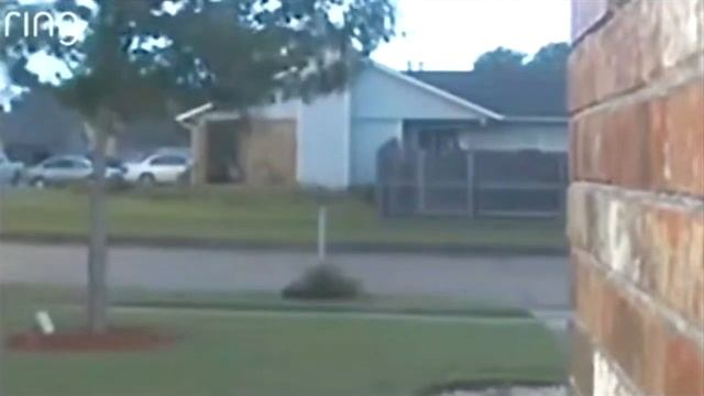 Видео было опубликовано на Реддите примерно год назад Описание гласил смотреть онлайн