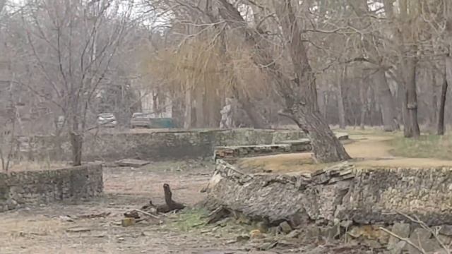 Крым г.Саки Прогулка по парку смотреть онлайн