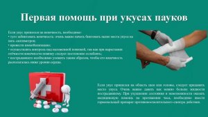 Первая помощь при укусах змей, насекомых и животных