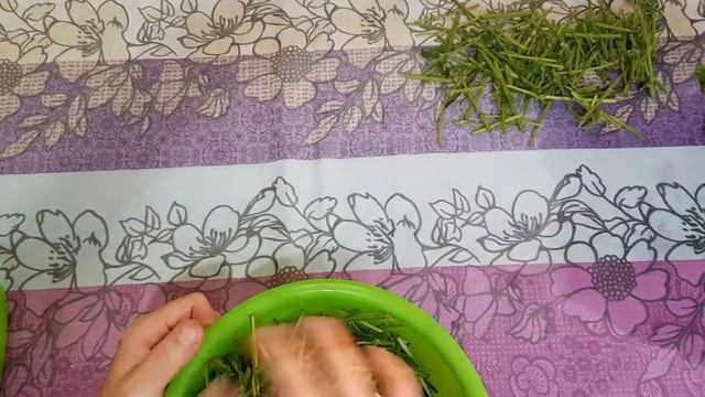 Как заготовить мяту на зиму - самый хороший способ! Сушим мяту на зиму смотреть онлайн