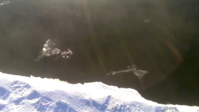 Ханты-Мансийск. Осеняя, зимняя рыбалка руками и сачком щуку. смотреть онлайн