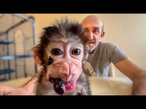 У нас ВЕСЕЛО! Люся со Степашкой делят голубику, Влада всего измазали, Степка с «подбитым» глазом))