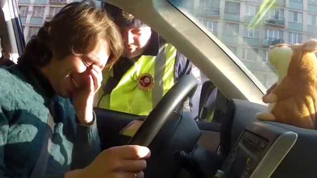 хомяк и дпс типо переговоры смотреть онлайн