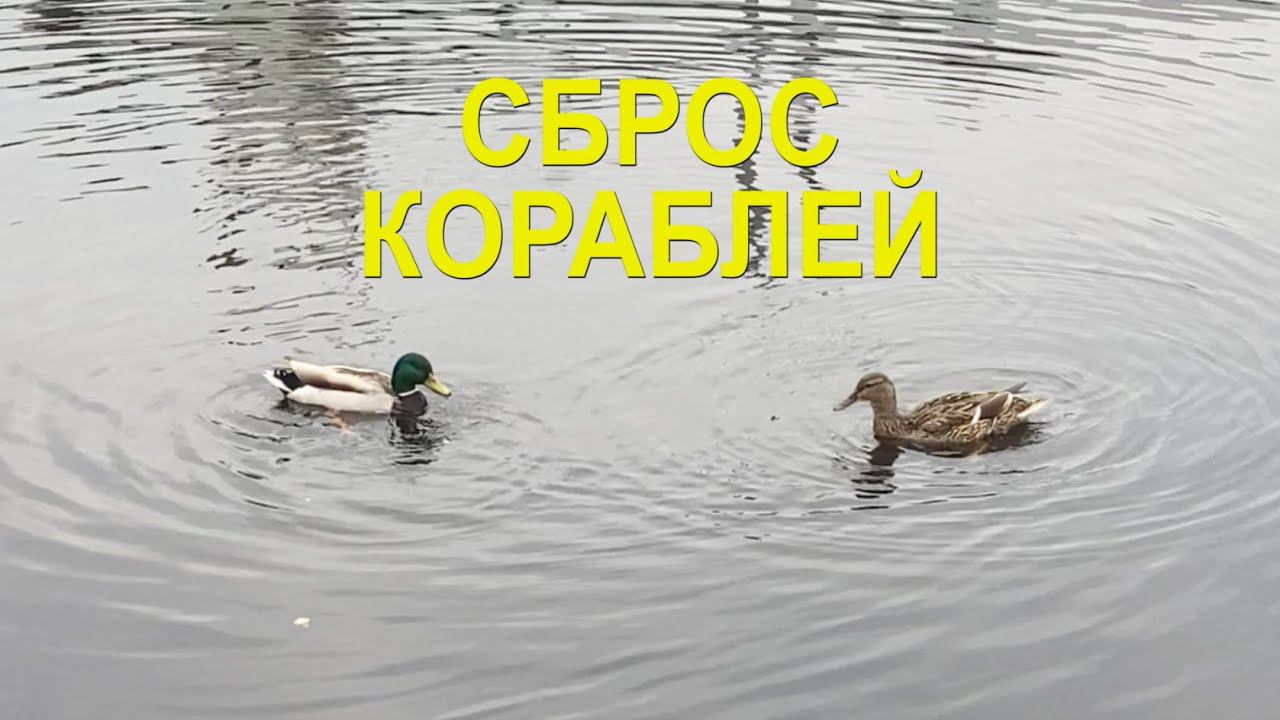 Сброс кораблей