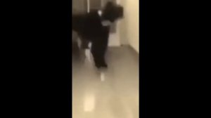 КТО ТАКОЙ АЮВОКИ?!!!!!!!!??!!?!??!!