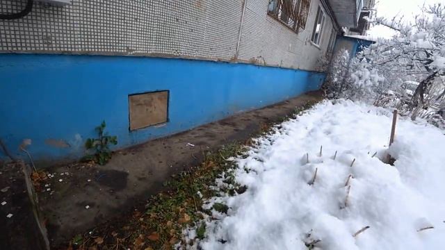 ИРА учится на права смотреть онлайн