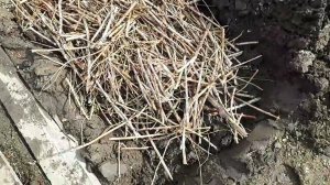 Как поднять участок, если он внизине?