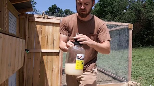 Review of the Fly Magnet fly trap. Will it work to get rid of flies? смотреть онлайн