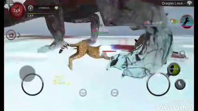 Matando O Dragão no wild animals online смотреть онлайн
