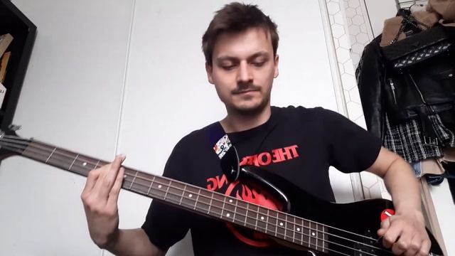 Papa Roach - Done With You - Bass Cover смотреть онлайн