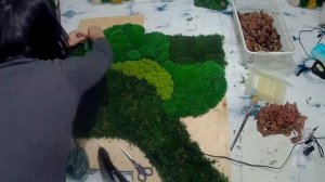 | Картина из стабилизированного мха своими руками |