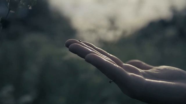 Живи сейчас смотреть онлайн