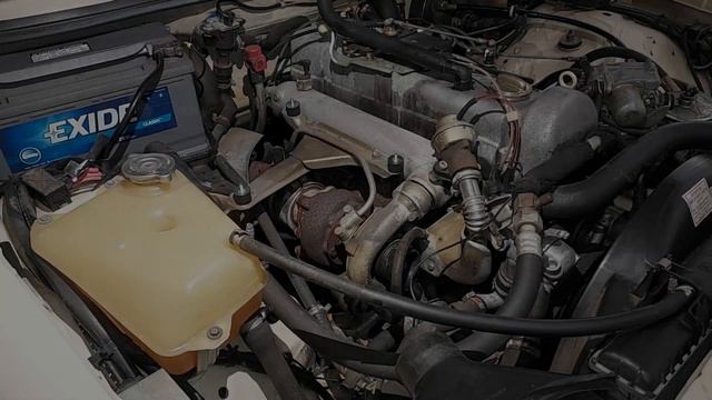 w123 and w126 Common Maintenance