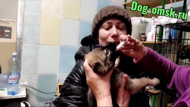 Уже не козявочки, уже малявочки.