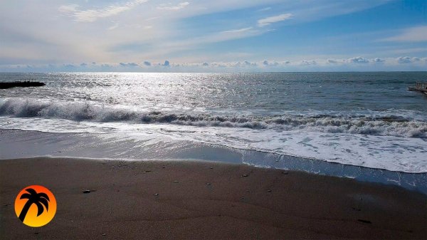 Calm Sea and Relaxing Sound of Waves in Spring