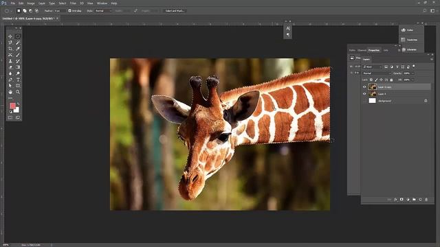 Adobe Photoshop CC 2017 Hindi Urdu Course in Pakistan Tutorial 7 - Magnetic Laso Tool смотреть онлайн