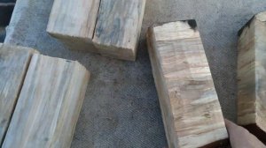 Шпальт березы. Результат эксперимента.