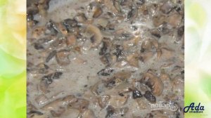 ★НЕРЕАЛЬНЫЙ СУПЕРВКУС-★ ГРИБНОЙ СОУС ИЗ ШАМПИНЬОНОВ СО СМЕТАНОЙ ★