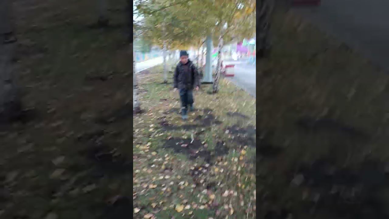 3 ноября 2023 г. смотреть онлайн