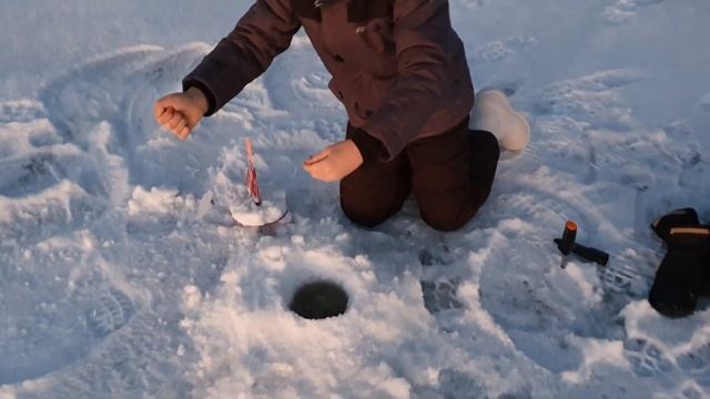 Про Сямозеро, налима и не только... смотреть онлайн