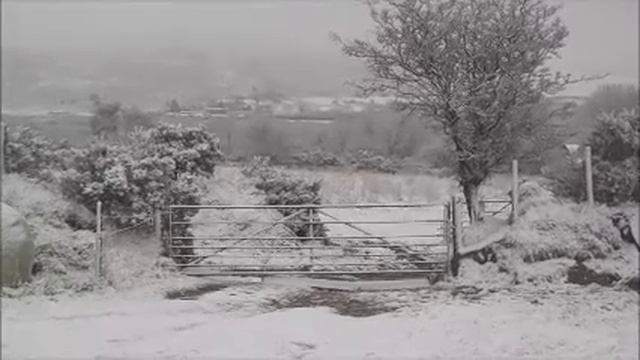 Hyd y frwynen - An dro смотреть онлайн