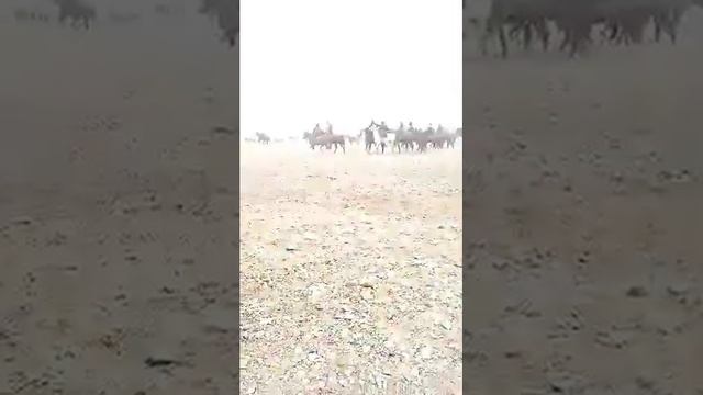 АШТ ХУДЖАНД смотреть онлайн