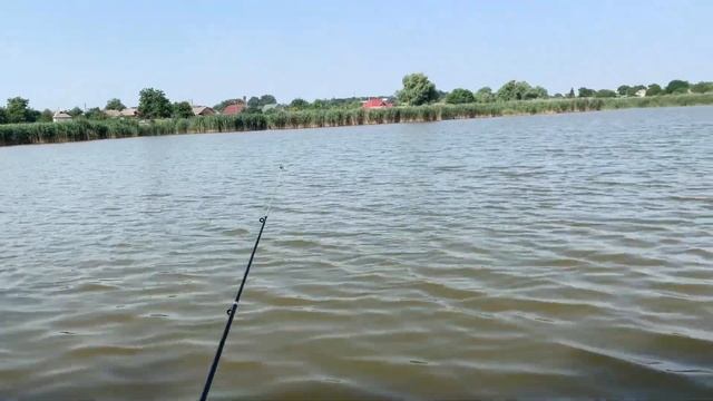 ЛОВЛЯ КАРАСЯ НА ПОПЛАВОЧНУЮ УДОЧКУ | РЫБАЛКА НА ТРЕХ ПРУДАХ смотреть онлайн