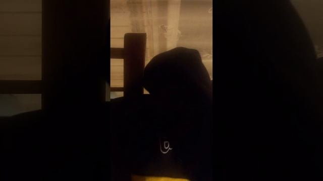 показываем Как вешать шишки на ёлку когда её купили искусственную смотреть онлайн