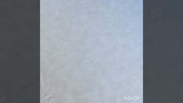 БЕЛЯШИ С МЯСОМ смотреть онлайн