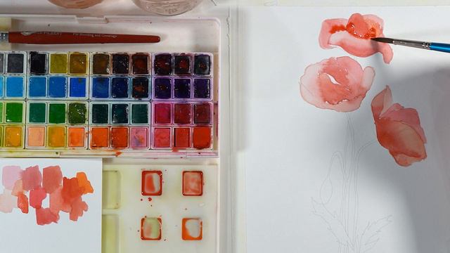 How to Paint a Simple Watercolor Poppy --August Birth Flower Outline смотреть онлайн