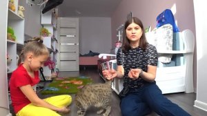 КОШКА ЛОЛА приколы и пранки с котами