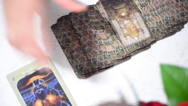 Tarot Card of the Day for Water Signs Cancer, Scorpio, and Pisces Sunday 26, Nov смотреть онлайн