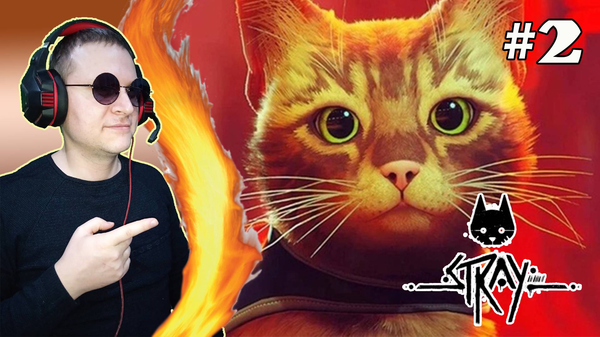 Милота, роботы и котики! Stray. #2