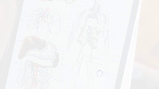 Important BcQs On GIT System || Gastrointestinal System || Dr Amaan смотреть онлайн