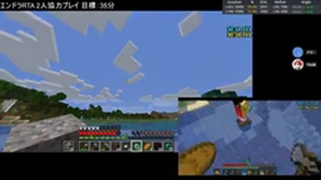 エンドラRTA 参加型 #253 【マイクラ Java版 1.16.1】 смотреть онлайн