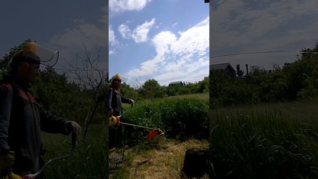 тест кустореза STIHL FS 450 на высокой траве, леской 3 мм. смотреть онлайн