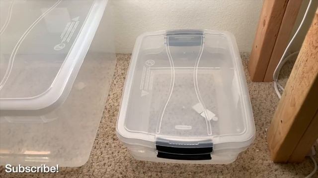 How to Propagate Java Moss!!! - Improved Experiment (Setup) смотреть онлайн