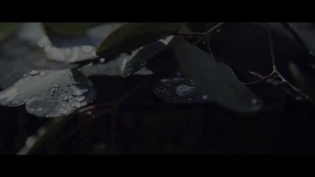 Весна...Пьеса...Мы смотреть онлайн