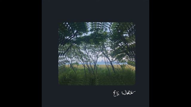 Eli Winter - Brain on Ice (Official Audio) смотреть онлайн