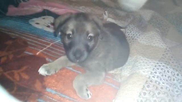 Нам 42 дня смотреть онлайн