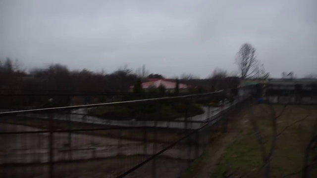 Немного о музыке в парке ! смотреть онлайн